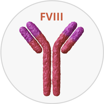 FVIII