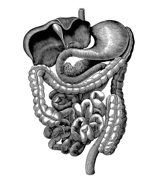 Болезнь Крона И Язвенный колит