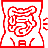 Красная линейная иконка человеческого живота с акцентом на кишечник