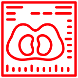 Красная контурная иконка снимка МРТ или КТ-диагностики, отображающая поперечный срез брюшной полости.