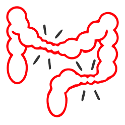 Красная контурная иконка кишечника с черными штрихами, указывающими на спазмы или дискомфорт