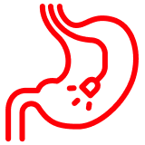 Красная контурная иконка желудка с эндоскопической капсулой внутри, символизирующая процедуру капсульной эндоскопии.